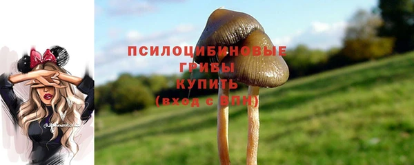 каннабис Покачи