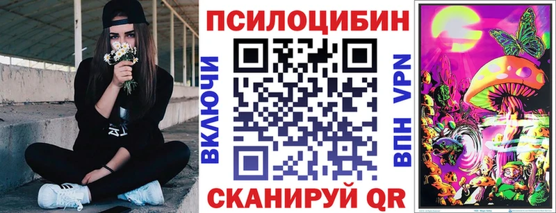 Псилоцибиновые грибы GOLDEN TEACHER  наркотики  Барыш 